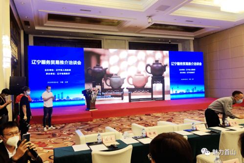 县长罗奎亮赴北京参加 中国国际服务贸易交易会