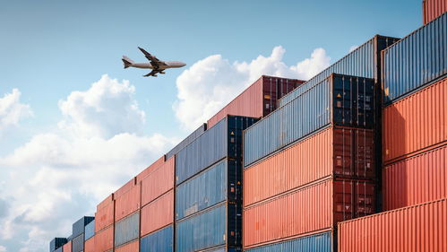 老码头焕发新生机 上海罗泾集装箱港今日开港，绿色智慧赋能北京国际贸易新通道