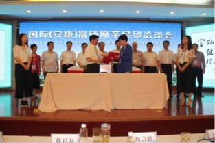 中国富硒魔芋之乡安康 释放魔芋产业新魔力